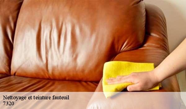 Nettoyage et teinture fauteuil  7320