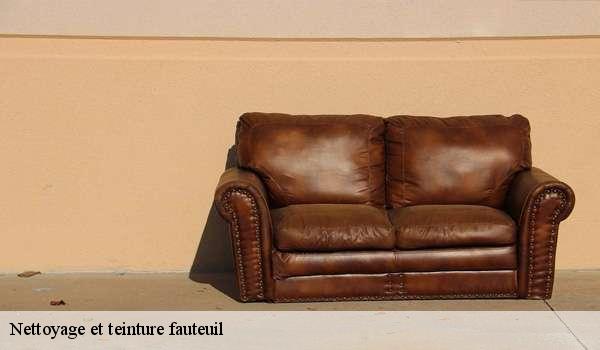Nettoyage et teinture fauteuil  7320