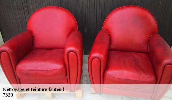 Nettoyage et teinture fauteuil  7320