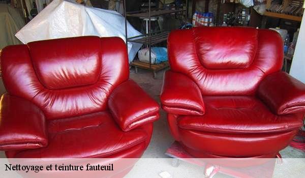 Nettoyage et teinture fauteuil  7320