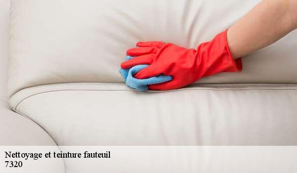 Nettoyage et teinture fauteuil  7320