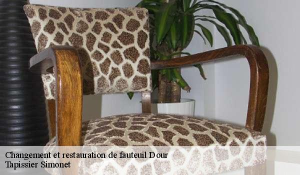 Changement et restauration de fauteuil  7370