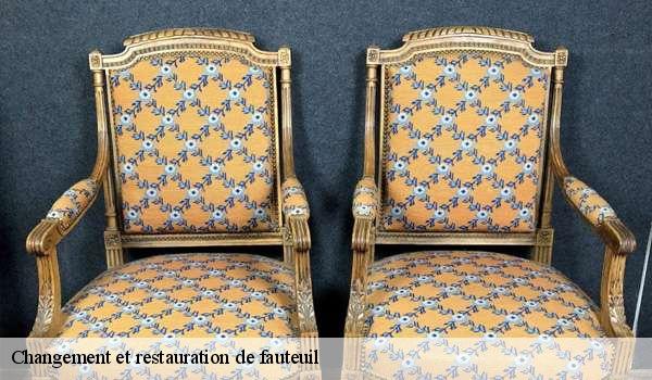 Changement et restauration de fauteuil  6567